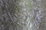 Lephin fibreglass roof work